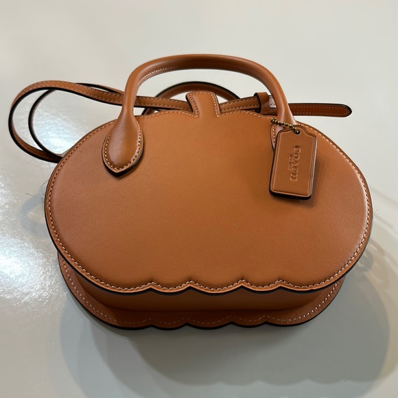 NWT Coach Fall Pumpkin Bag Orange Runway Leather Purse Zippered Case NYFW Handle - Picture 11 of 14